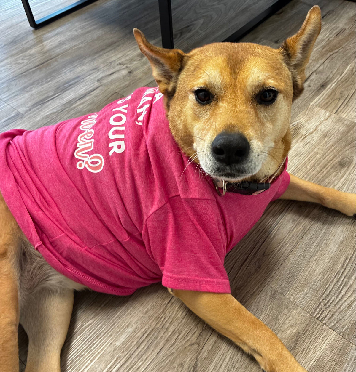 Cosmo Club Pet/Human T-Shirt