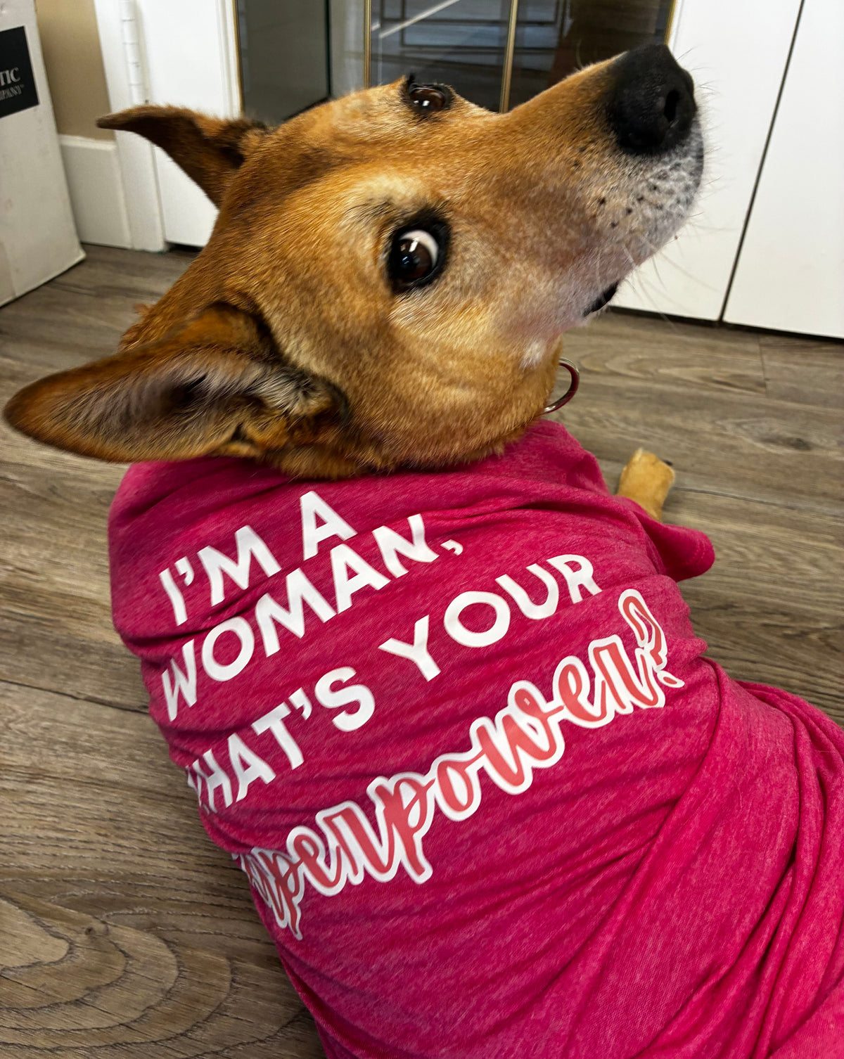 Cosmo Club Pet/Human T-Shirt