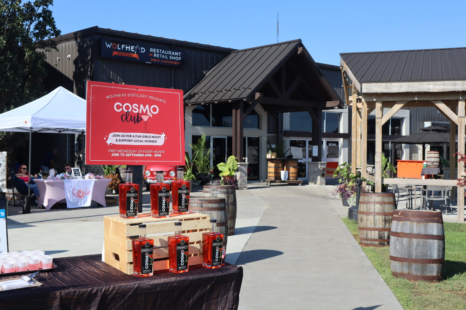 Wolfhead Cosmo Club Set Up